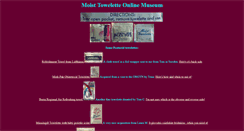 Desktop Screenshot of moisttowelettemuseum.com